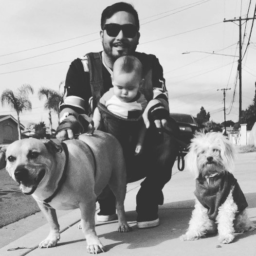 angel dogs babies