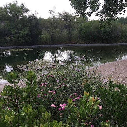 Peaceful View
